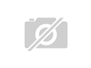 Pflegestelle für hunde gesucht